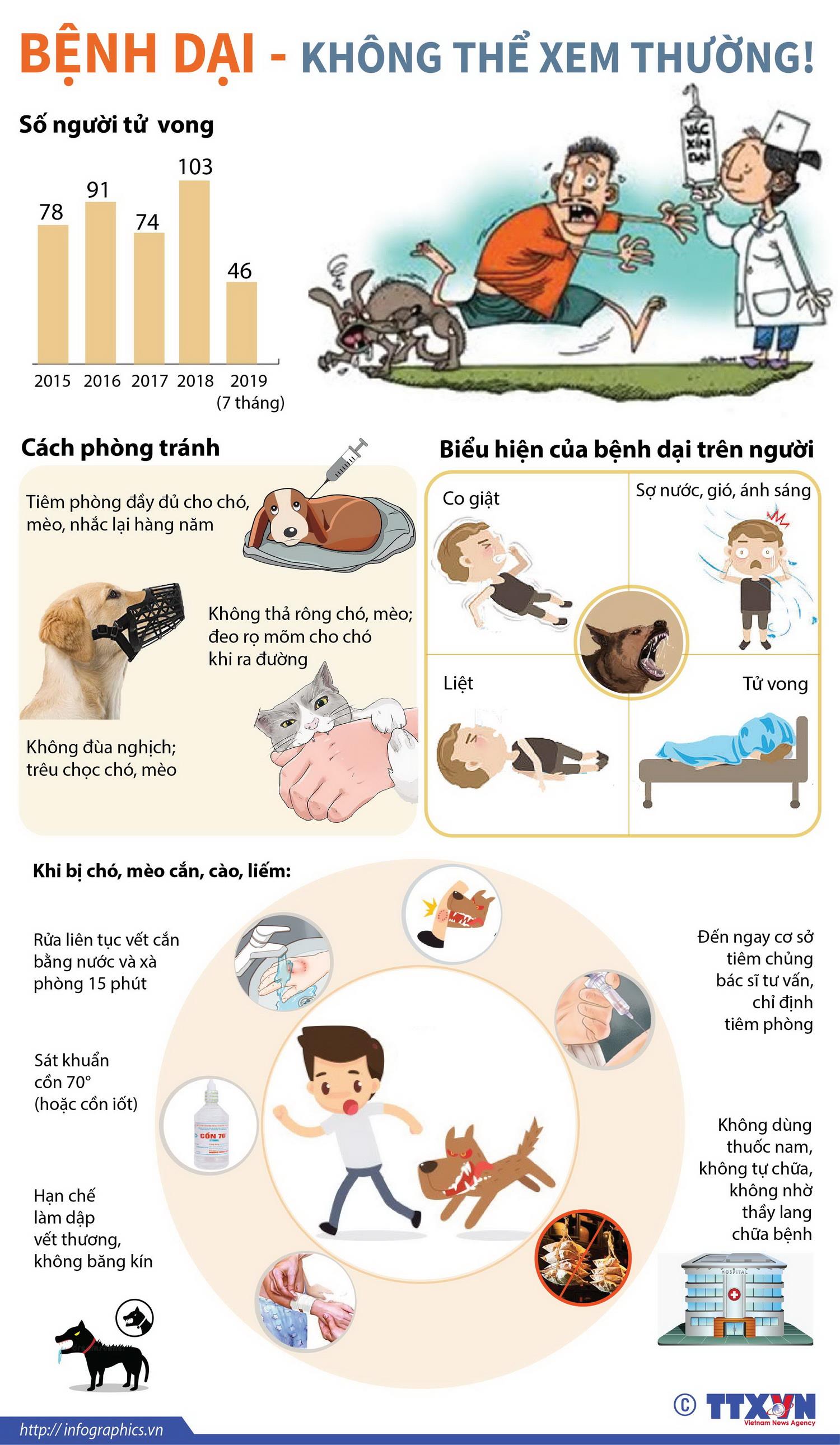 TIÊM PHÒNG DẠI CHO CHÓ TẠI CƠ SỞ THÚ Y UY TÍN