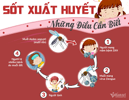 Chỉ số BI giúp đánh giá tình hình sốt xuất huyết