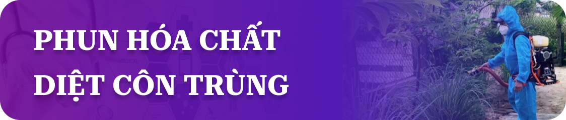 Phun hóa chất diệt côn trùng