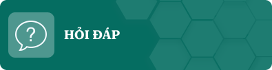 Hỏi đáp